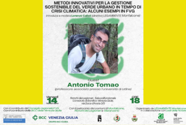 Metodi innovativi per la gestione sostenibile del verde urbano in tempo di Crisi climatica: alcuni esempi in FVG