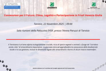 Camminare nella Rete della Vita: Focus sulla Biodiversità nel Tarvisiano